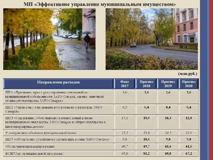 МП «Эффективное управление муниципальным имуществом» (млн.руб.)