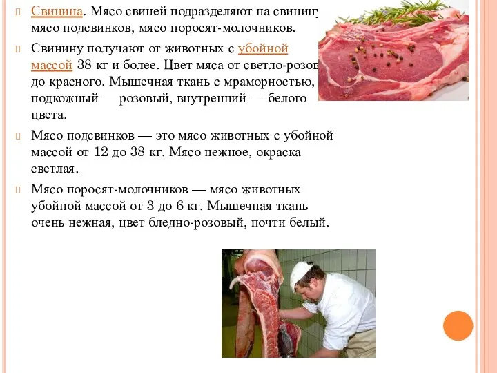 Свинина. Мясо свиней подразделяют на свинину, мясо подсвинков, мясо поросят-молочников. Свинину получают от