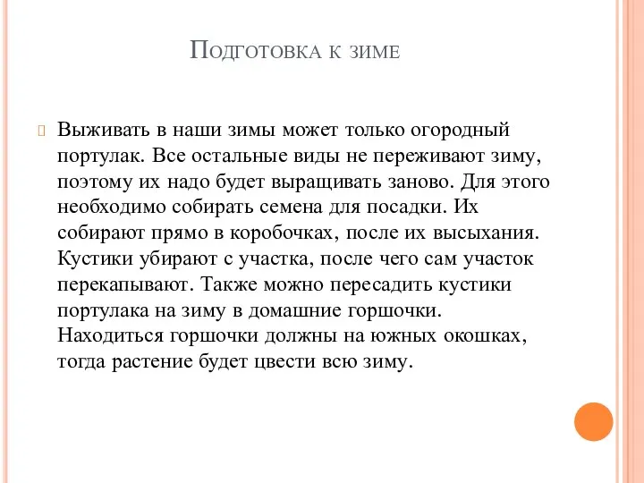 Подготовка к зиме Выживать в наши зимы может только огородный портулак. Все остальные