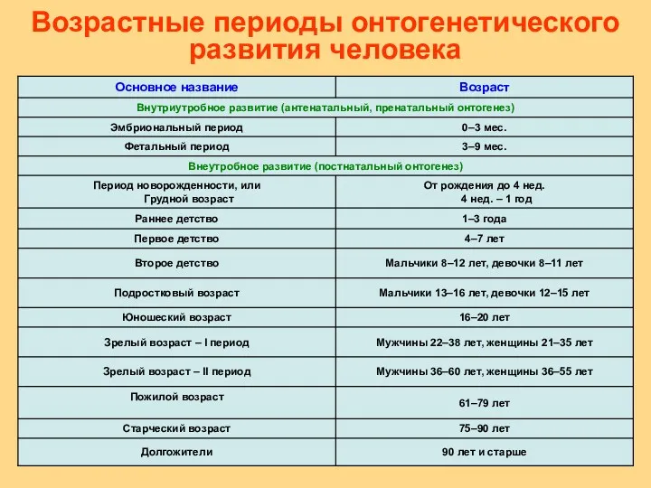 Возрастные периоды онтогенетического развития человека