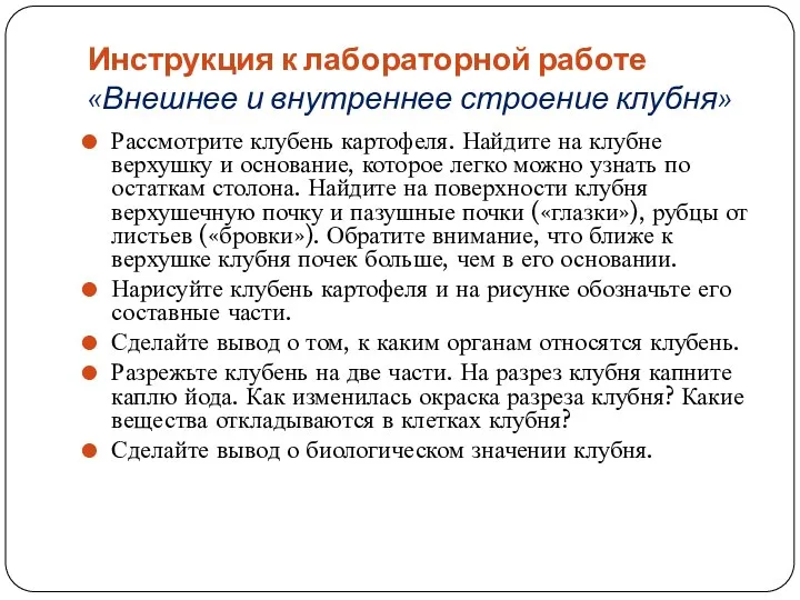 Инструкция к лабораторной работе «Внешнее и внутреннее строение клубня» Рассмотрите