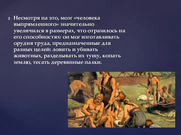 Несмотря на это, мозг «человека выпрямленного» значительно увеличился в размерах,