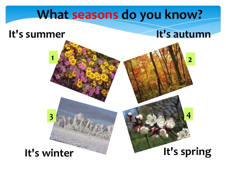 It's summer It's autumn It's winter It's spring What seasons