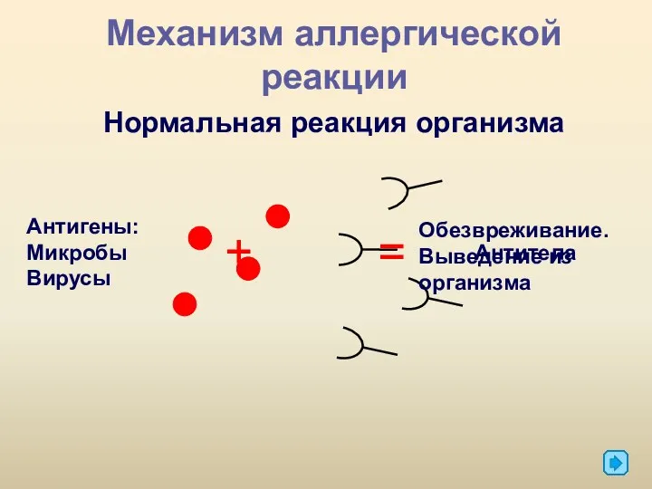 Механизм аллергической реакции Нормальная реакция организма Антигены: Микробы Вирусы Антитела + = Обезвреживание. Выведение из организма