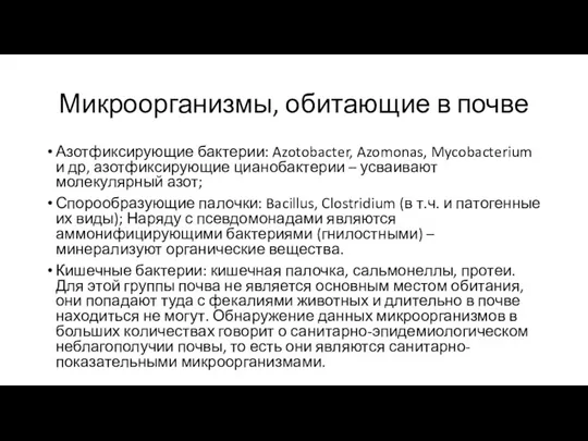 Микроорганизмы, обитающие в почве Азотфиксирующие бактерии: Azotobacter, Azomonas, Mycobacterium и