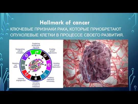 Hallmark of cancer КЛЮЧЕВЫЕ ПРИЗНАКИ РАКА, КОТОРЫЕ ПРИОБРЕТАЮТ ОПУХОЛЕВЫЕ КЛЕТКИ В ПРОЦЕССЕ СВОЕГО РАЗВИТИЯ.