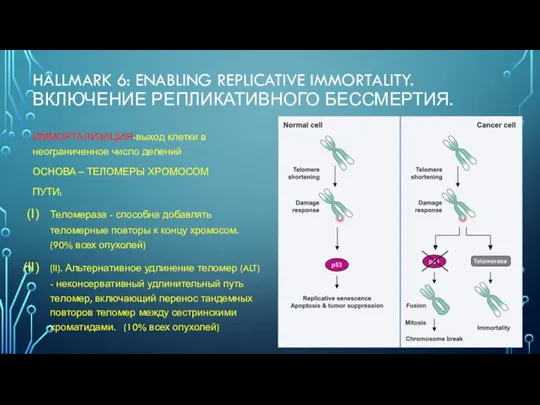 HALLMARK 6: ENABLING REPLICATIVE IMMORTALITY. ВКЛЮЧЕНИЕ РЕПЛИКАТИВНОГО БЕССМЕРТИЯ. ИММОРТАЛИЗАЦИЯ-выход клетки