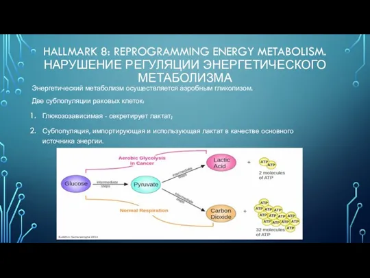 HALLMARK 8: REPROGRAMMING ENERGY METABOLISM. НАРУШЕНИЕ РЕГУЛЯЦИИ ЭНЕРГЕТИЧЕСКОГО МЕТАБОЛИЗМА Энергетический