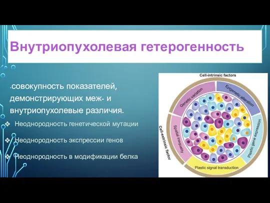 Внутриопухолевая гетерогенность -совокупность показателей, демонстрирующих меж- и внутриопухолевые различия. Неоднородность