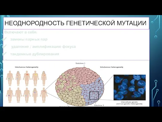 НЕОДНОРОДНОСТЬ ГЕНЕТИЧЕСКОЙ МУТАЦИИ Включают в себя: замены парных пар удаление