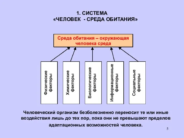 1. СИСТЕМА «ЧЕЛОВЕК - СРЕДА ОБИТАНИЯ» Человеческий организм безболезненно переносит