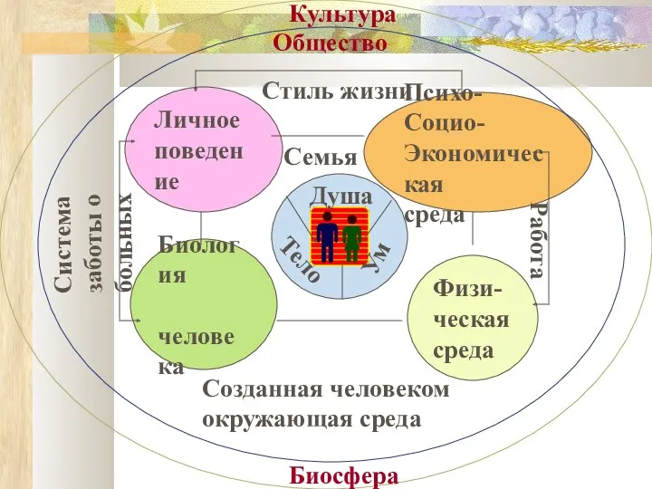 Психо-Социо- Экономическая среда Личное поведение Биология человека Физи- ческая среда