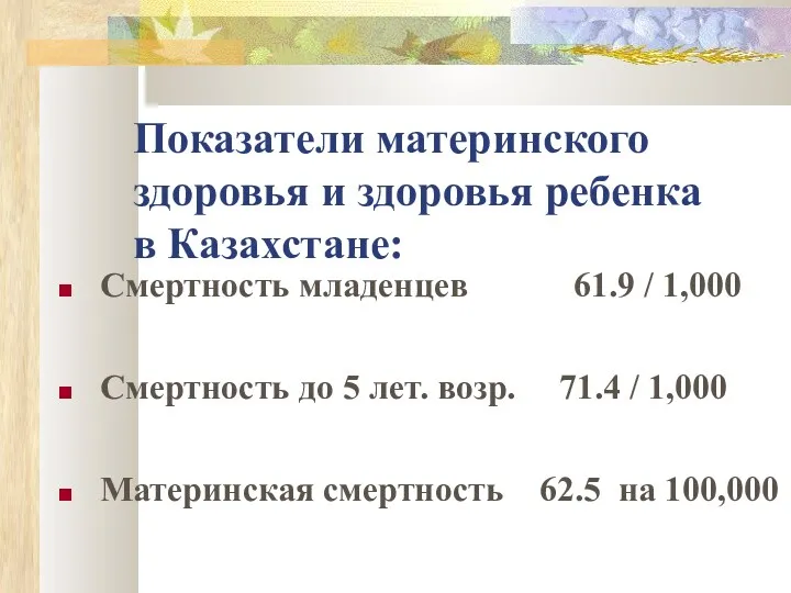 Показатели материнского здоровья и здоровья ребенка в Казахстане: Смертность младенцев