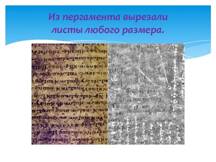 Из пергамента вырезали листы любого размера.