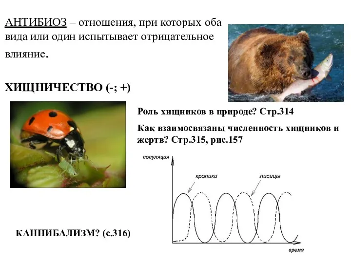 Роль хищников в природе? Стр.314 Как взаимосвязаны численность хищников и