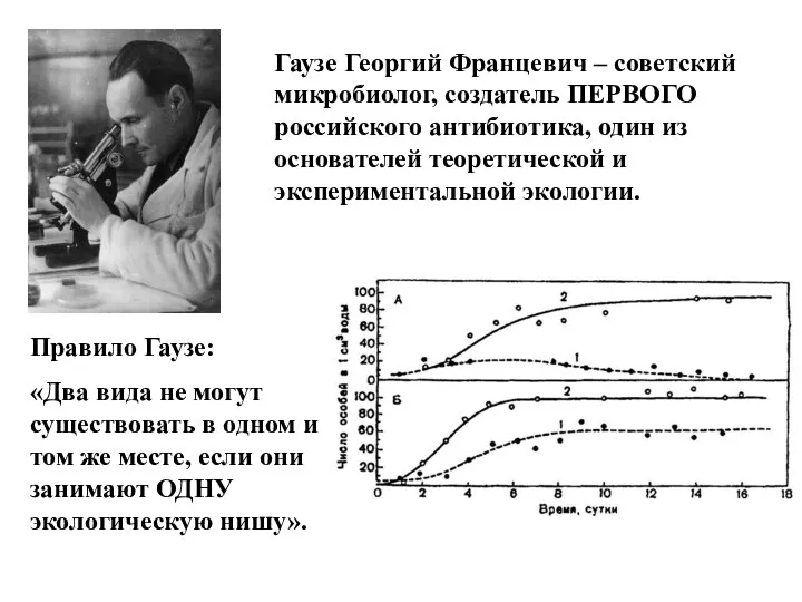 Гаузе Георгий Францевич – советский микробиолог, создатель ПЕРВОГО российского антибиотика,