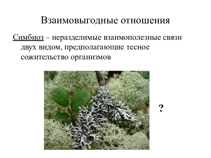 Взаимовыгодные отношения Симбиоз – неразделимые взаимополезные связи двух видом, предполагающие тесное сожительство организмов ?