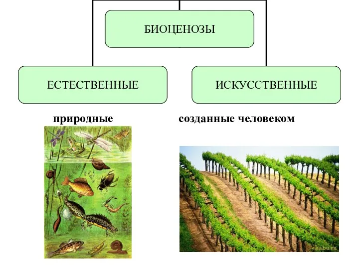 природные созданные человеком