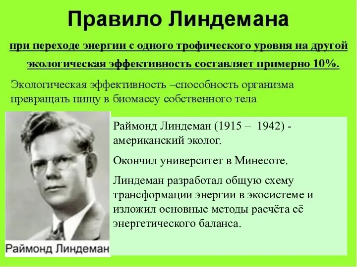 Раймонд Линдеман (1915 – 1942) - американский эколог. Окончил университет