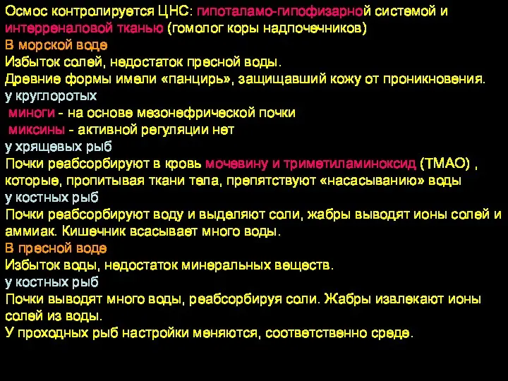 Осмос контролируется ЦНС: гипоталамо-гипофизарной системой и интерреналовой тканью (гомолог коры