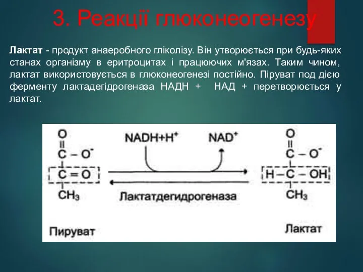 Лактат - продукт анаеробного гліколізу. Він утворюється при будь-яких станах