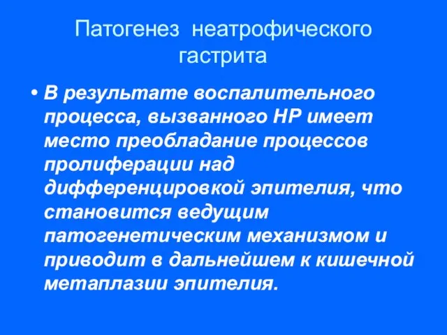 Патогенез неатрофического гастрита В результате воспалительного процесса, вызванного НР имеет