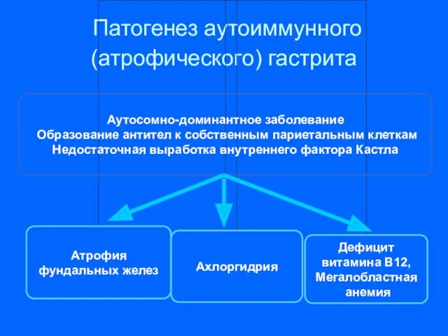 Патогенез аутоиммунного (атрофического) гастрита