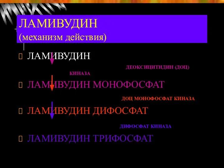 ЛАМИВУДИН (механизм действия) ЛАМИВУДИН ДЕОКСИЦИТИДИН (ДОЦ) КИНАЗА ЛАМИВУДИН МОНОФОСФАТ ДОЦ