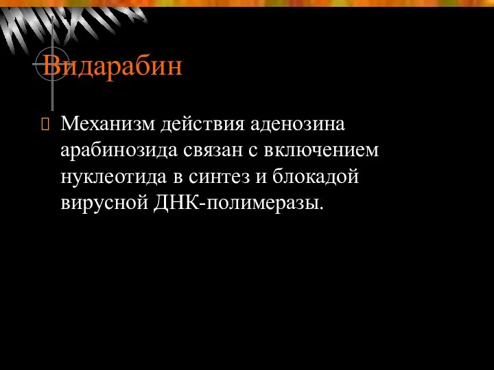 Видарабин Механизм действия аденозина арабинозида связан с включением нуклеотида в синтез и блокадой вирусной ДНК-полимеразы.