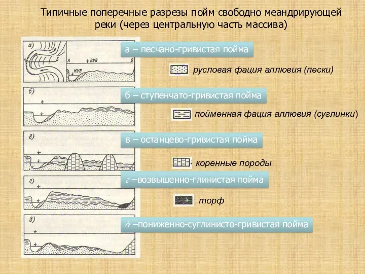 Типичные поперечные разрезы пойм свободно меандрирующей реки (через центральную часть