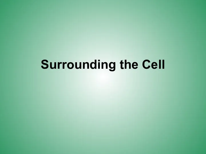 Surrounding the Cell