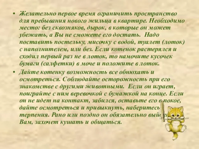 Желательно первое время ограничить пространство для пребывания нового жильца в квартире. Необходимо место: