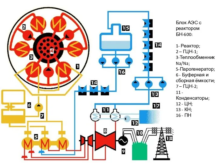 Блок АЭС с реактором БН-600: 1- Реактор; 2 – ГЦН-1;