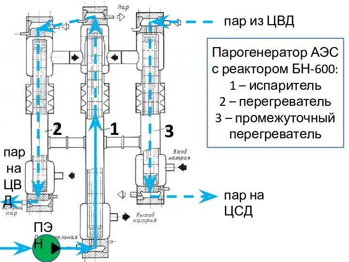 Парогенератор АЭС с реактором БН-600: 1 – испаритель 2 –