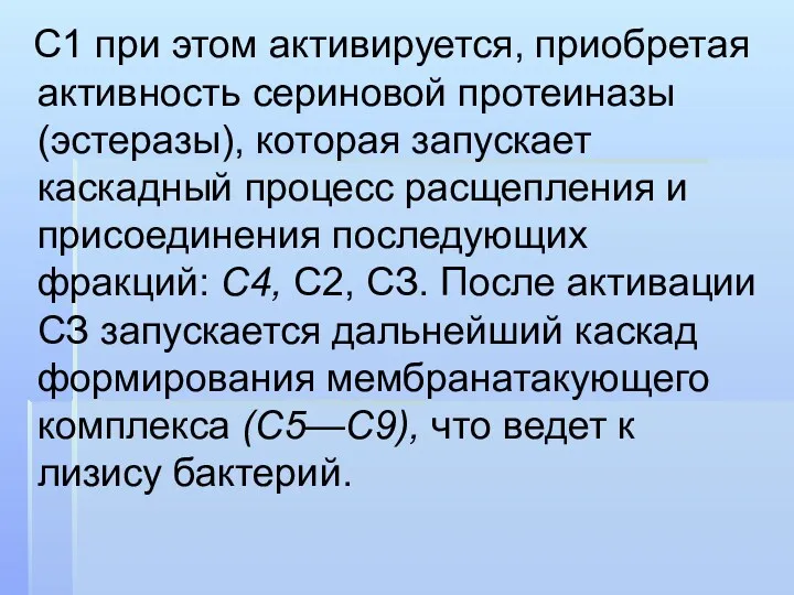 С1 при этом активируется, приобретая активность сериновой протеиназы (эстеразы), которая