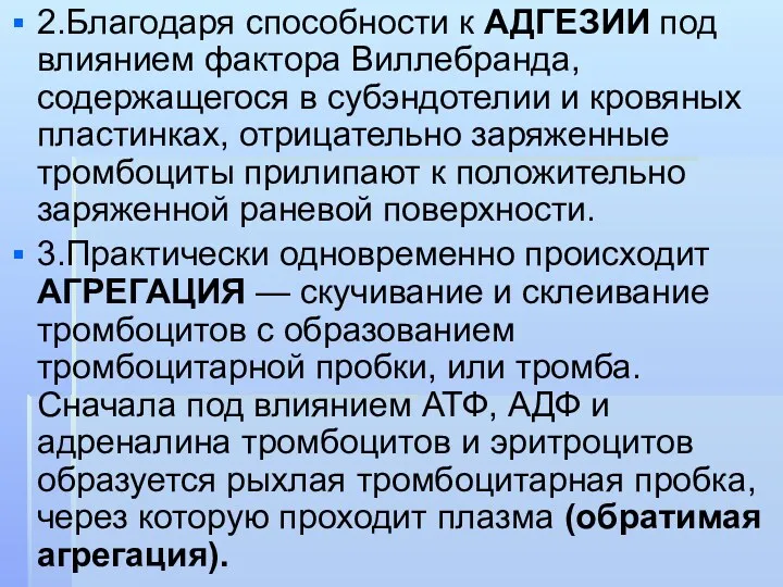 2.Благодаря способности к АДГЕЗИИ под влиянием фактора Виллебранда, содержащегося в