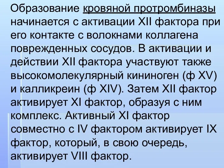 Образование кровяной протромбиназы начинается с активации XII фактора при его