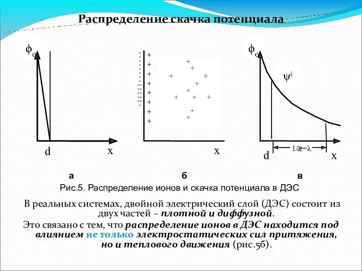 Распределение скачка потенциала В реальных системах, двойной электрический слой (ДЭС)