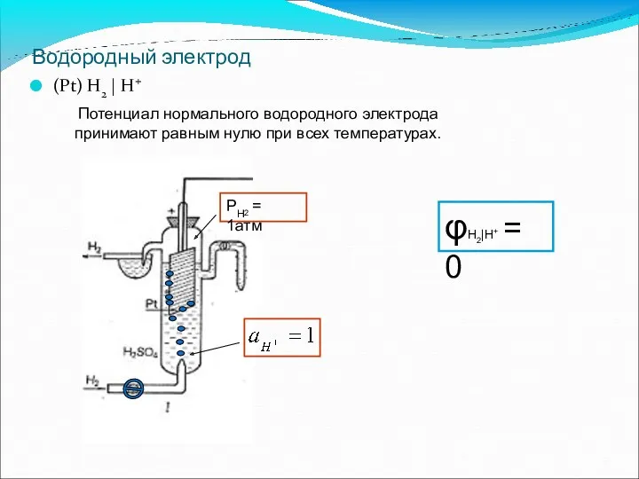 Водородный электрод (Pt) H2 | H+ Потенциал нормального водородного электрода