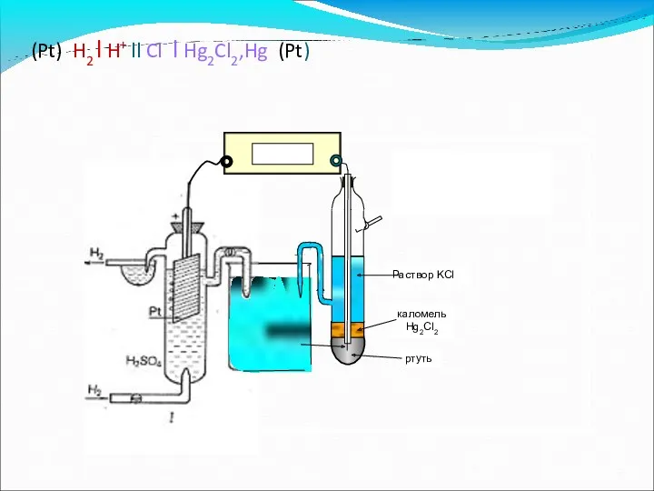 (Pt) H2 l H+ ll Cl- l Hg2Cl2,Hg (Pt)