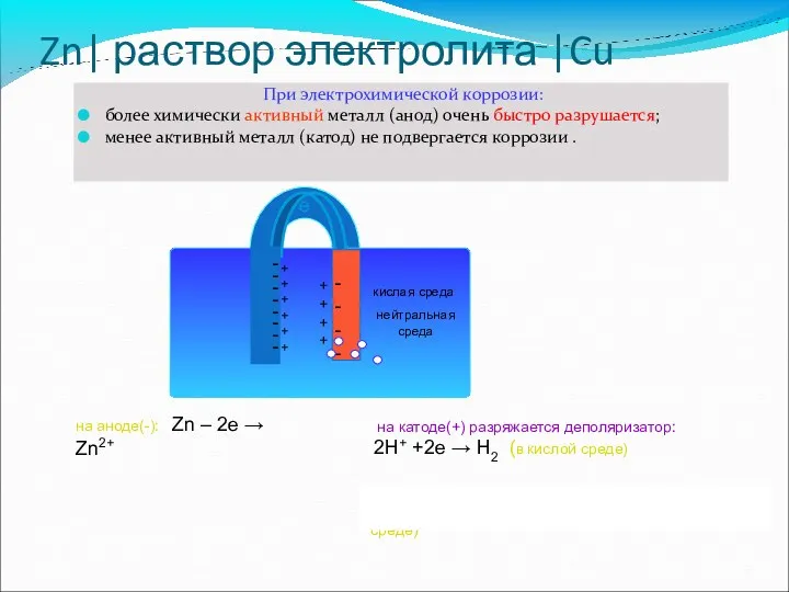 + + + + - - - - Zn| раствор