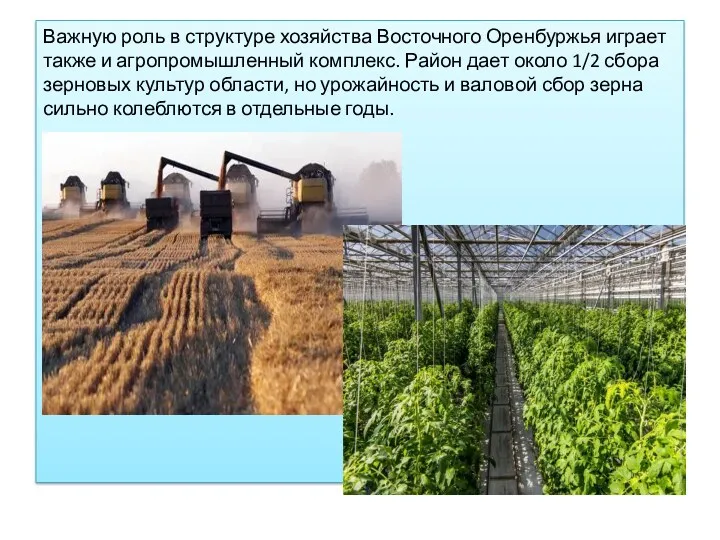 Важную роль в структуре хозяйства Восточного Оренбуржья играет также и