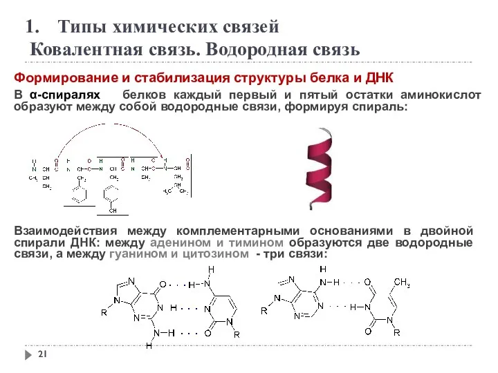 Типы химических связей Ковалентная связь. Водородная связь Формирование и стабилизация