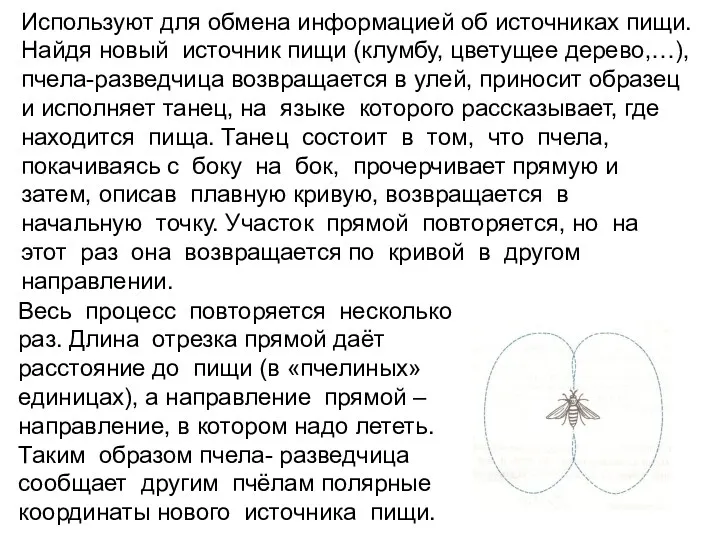 Используют для обмена информацией об источниках пищи. Найдя новый источник