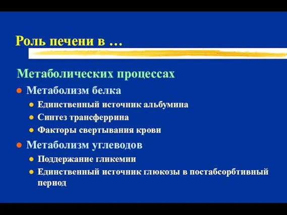 Роль печени в … Метаболических процессах Метаболизм белка Единственный источник