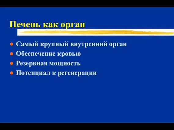 Печень как орган Самый крупный внутренний орган Обеспечение кровью Резервная мощность Потенциал к регенерации