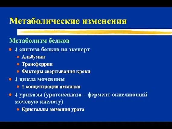 Метаболические изменения Метаболизм белков ↓ синтеза белков на экспорт Альбумин