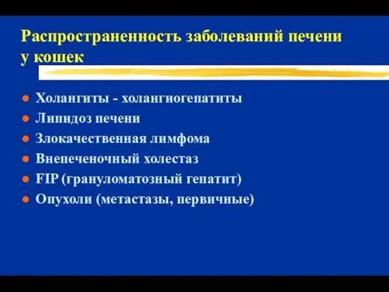 Распространенность заболеваний печени у кошек Холангиты - холангиогепатиты Липидоз печени