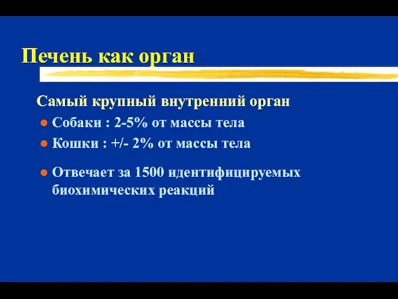 Печень как орган Самый крупный внутренний орган Собаки : 2-5%