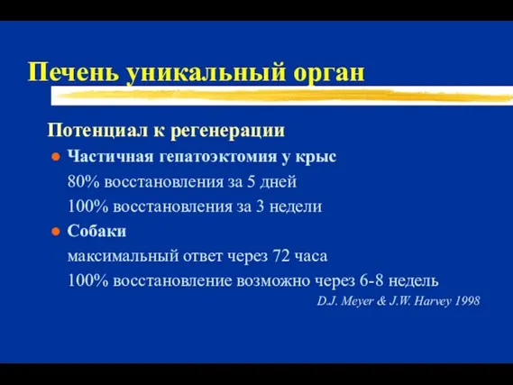 Печень уникальный орган Потенциал к регенерации Частичная гепатоэктомия у крыс